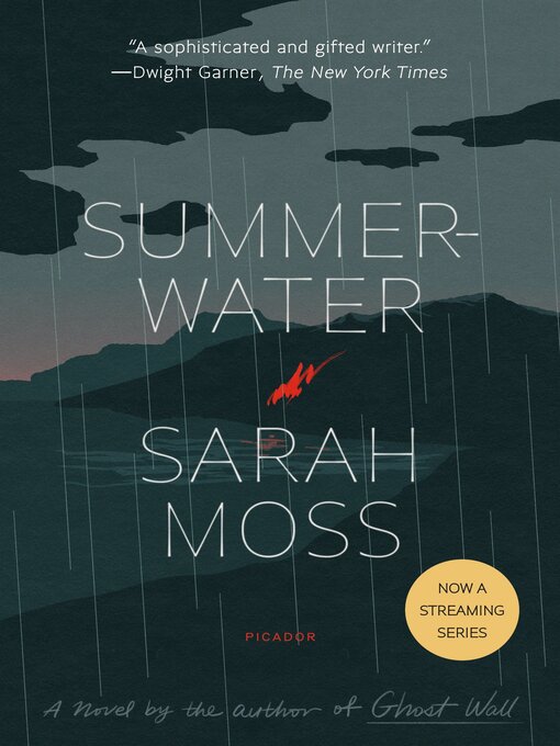 Cover image for Summerwater